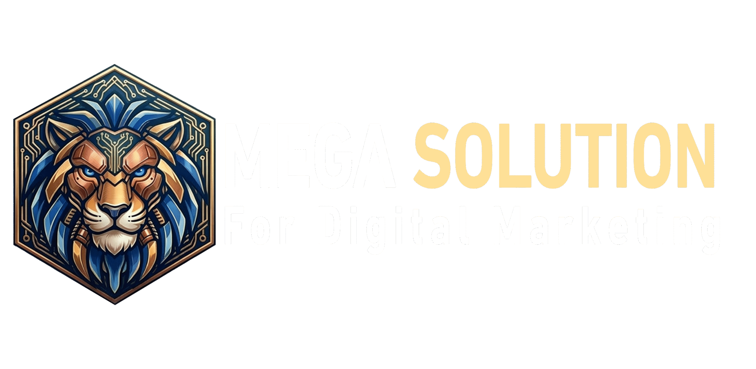 Mega Solution